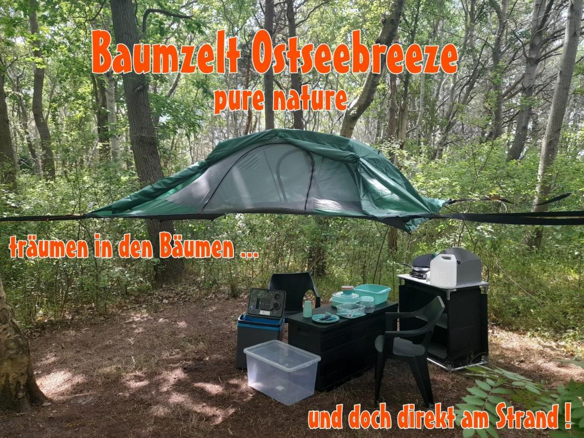 Baumzeltdorf Ostseebreeze Direkt Am Strand Dranske Kültér fotó